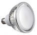 30W dimmable LED PAR38 2700K 110D