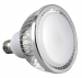 30W regulable LED PAR38 2700K 110D