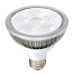LED PAR30 Light Bulbs