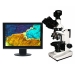 Digital, die Mikroskop polarisiert