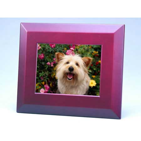 digital picture frame - 81CH