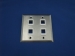 4 Port Dual Gang Stainless Faceplate